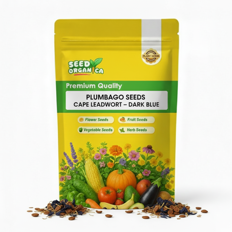 Plumbago Seeds Cape Leadwort– Dark Blue