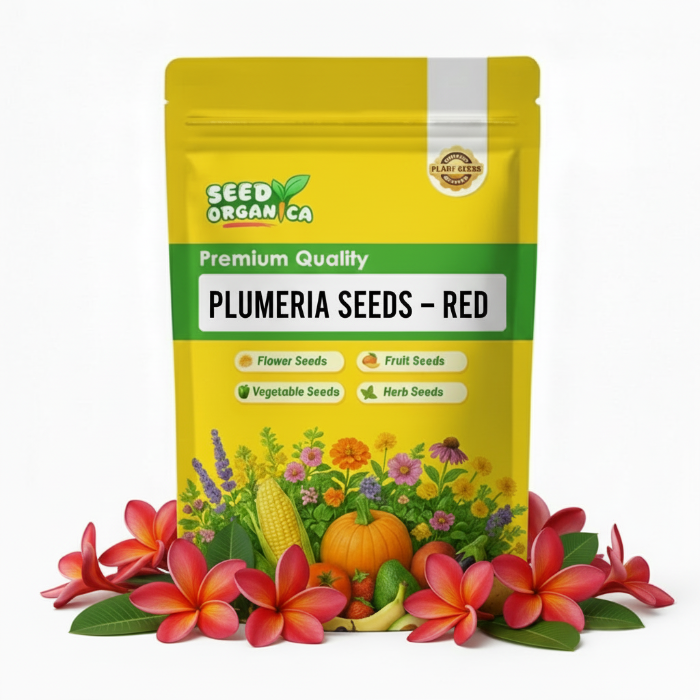 Plumeria Seeds – Red