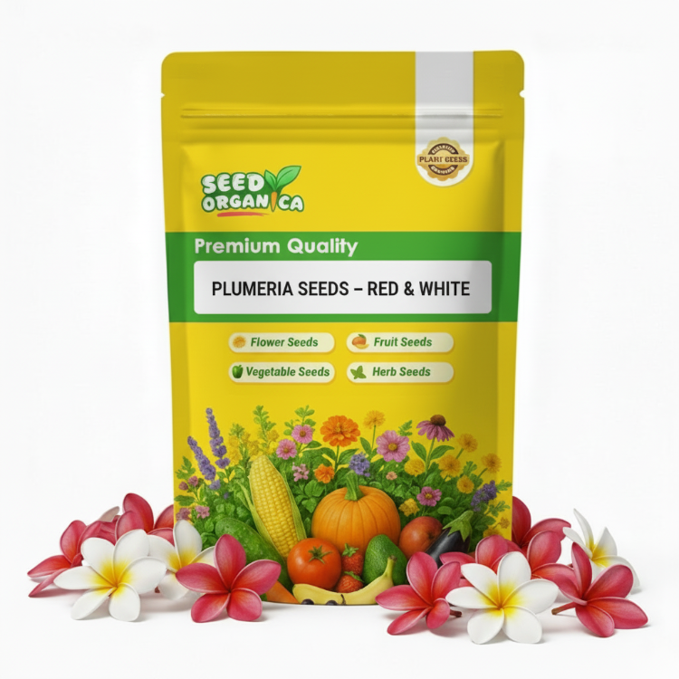 Plumeria Seeds – Red & White