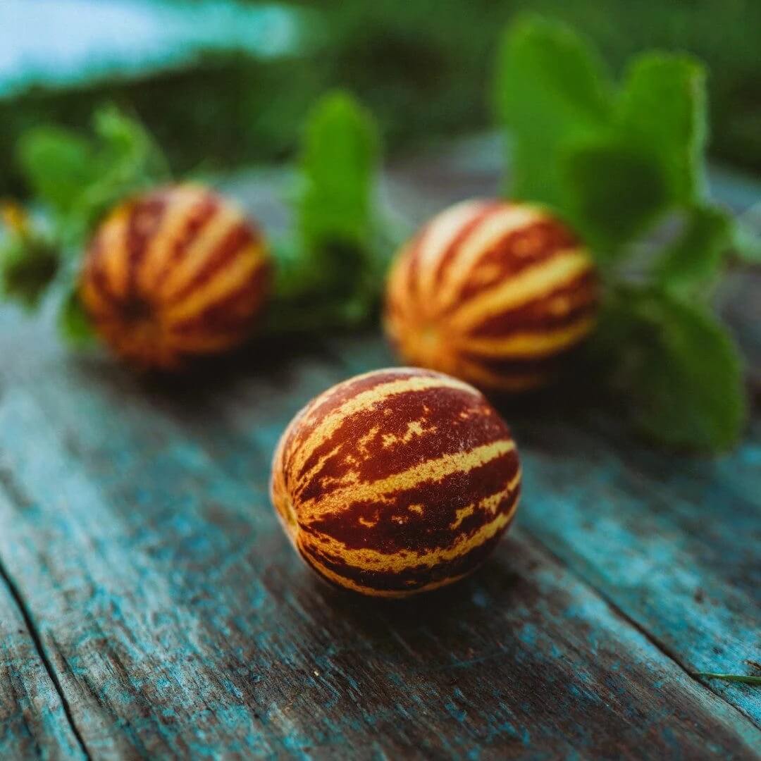 Pocket Melon Seeds 