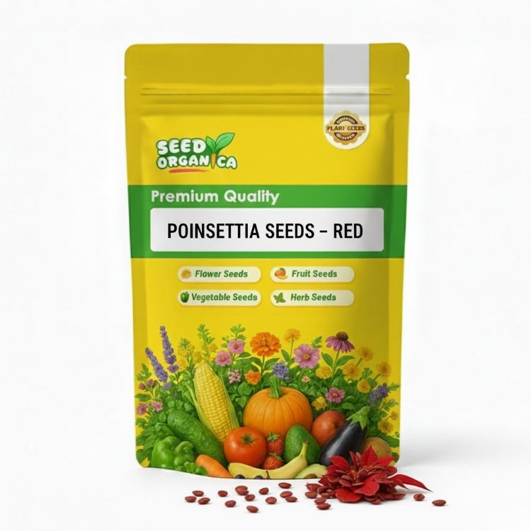 Poinsettia Seeds – Red