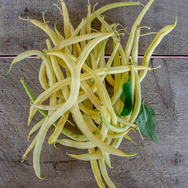 Pole Bean Seeds – Yellow Black Bacau