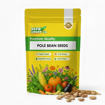 Pole Bean Seeds