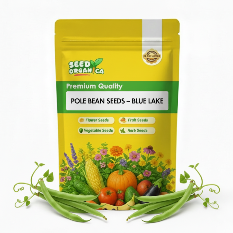 Pole Bean Seeds – Blue Lake