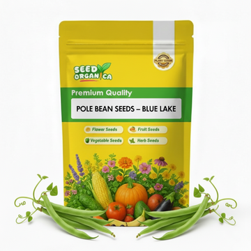 Pole Bean Seeds – Blue Lake