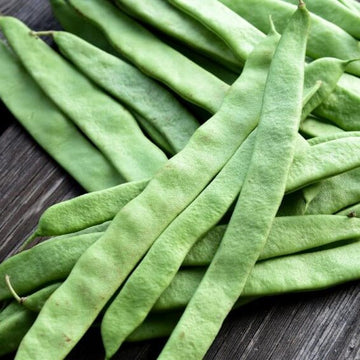 Pole Bean Seeds – Green Romano