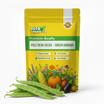 Pole Bean Seeds – Green Romano