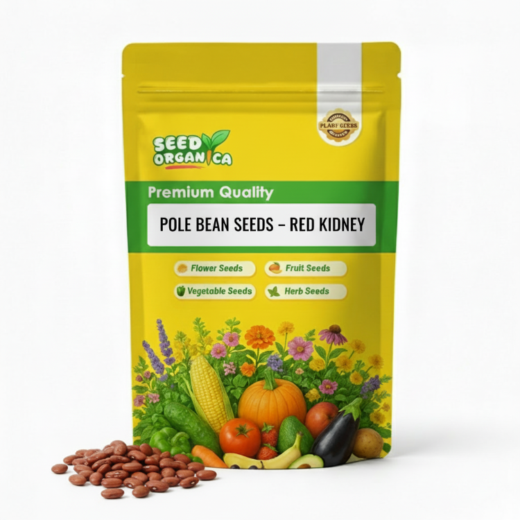 Pole Bean Seeds – Red Kidney