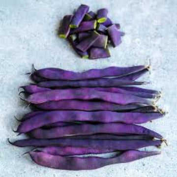 Pole Bean Seeds – Violet