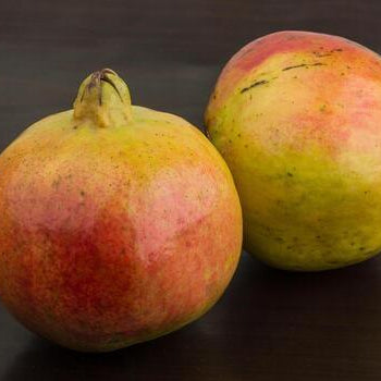 Pomegranate Seeds – Green Pink