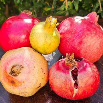 Pomegranate Seeds – Mixed