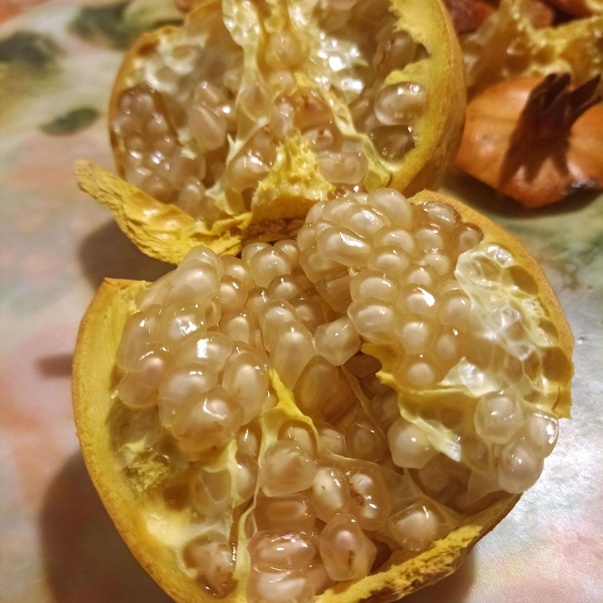 Pomegranate Seeds – White