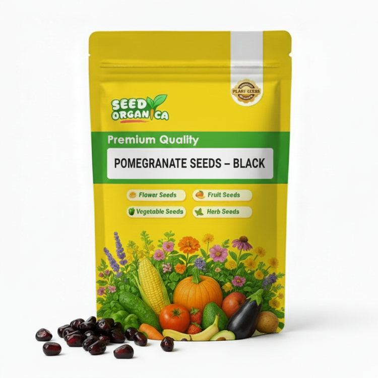 Pomegranate Seeds – Black