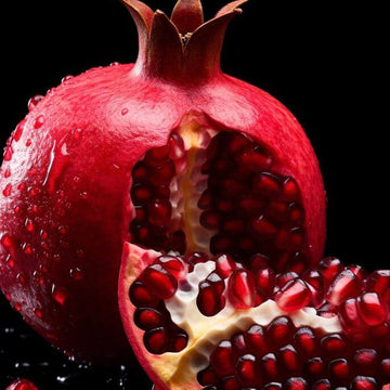 Pomegranate Seeds – Burgundy