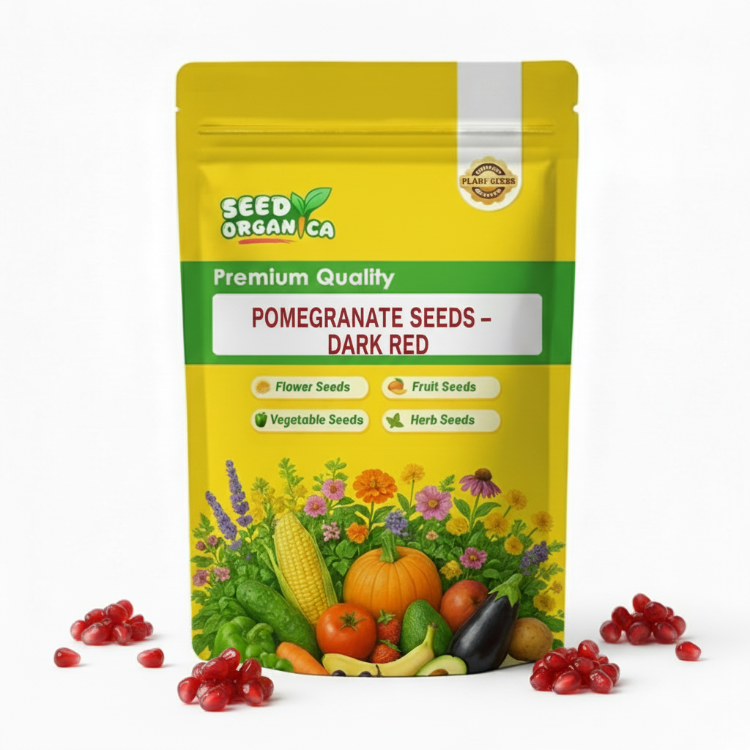 Pomegranate Seeds – Dark Red