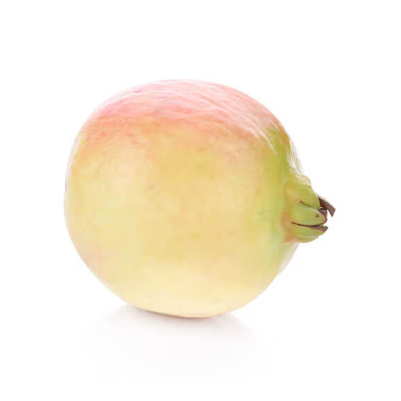 Pomegranate Seeds – Green Pink