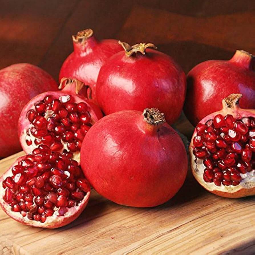 Pomegranate Seeds – Maroon
