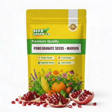 Pomegranate Seeds – Maroon