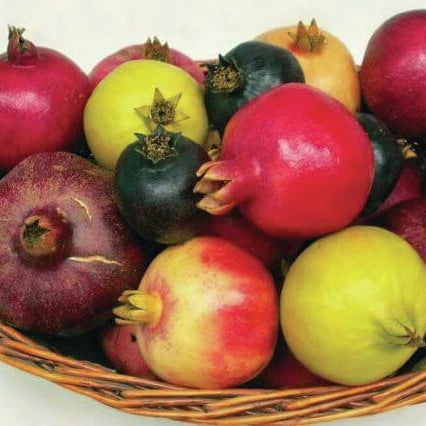 Pomegranate Seeds – Mixed