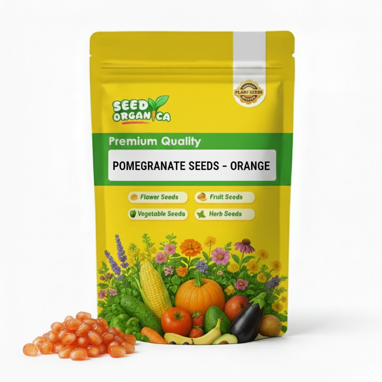 Pomegranate Seeds – Orange