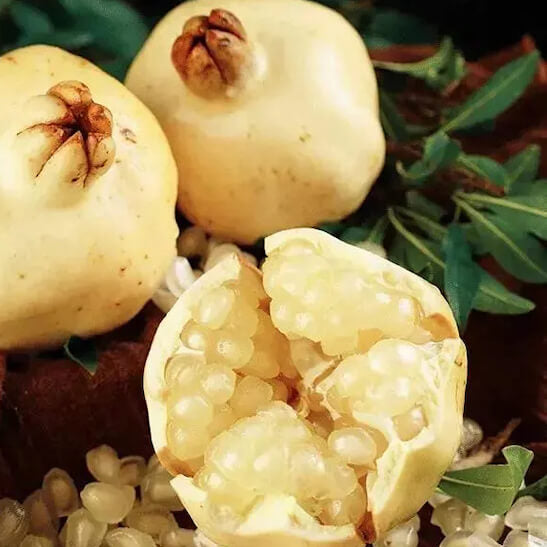 Pomegranate Seeds – White