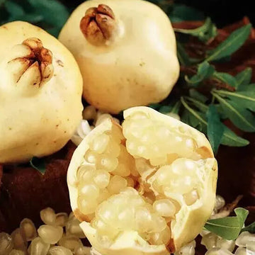 Pomegranate Seeds – White