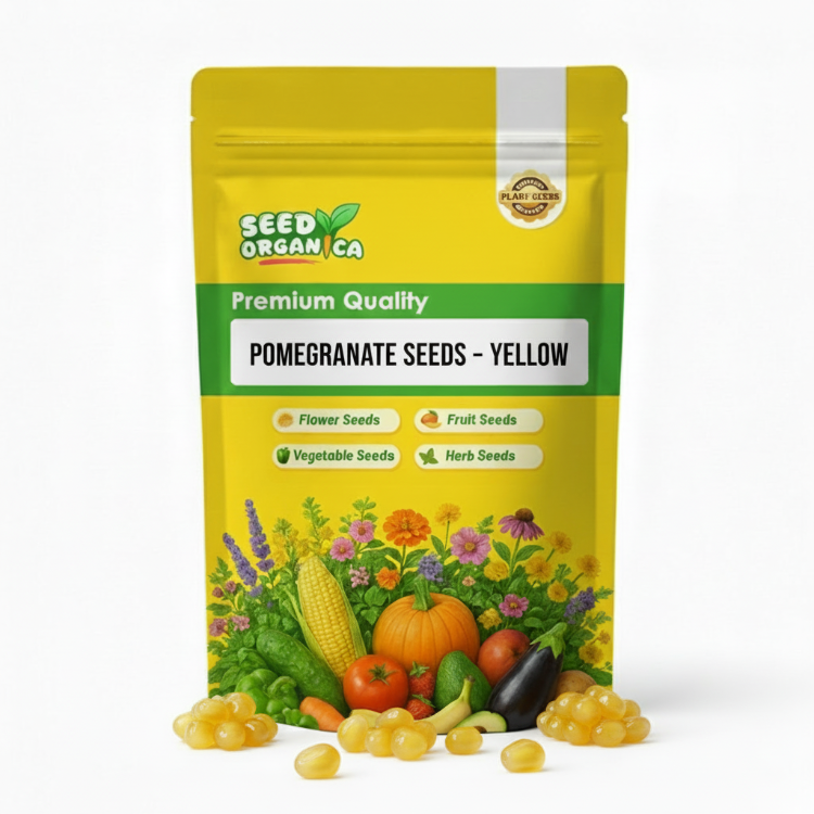 Pomegranate Seeds – Yellow