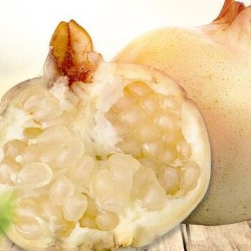 Pomegranate Seeds – White