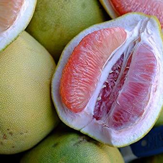 Pomelo Seeds – Citrus maxima