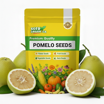 Pomelo Seeds
