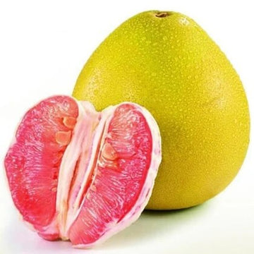 Pomelo Seeds – Citrus maxima