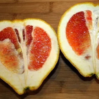 Pomelo Seeds – Valentine