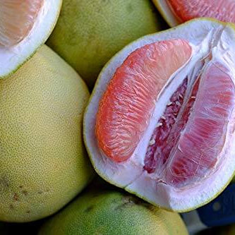 Pomelo Seeds – Davao