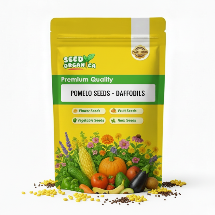 Pomelo Seeds – Daffodils