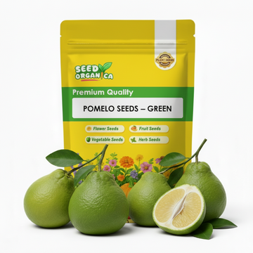 Pomelo Seeds – Green