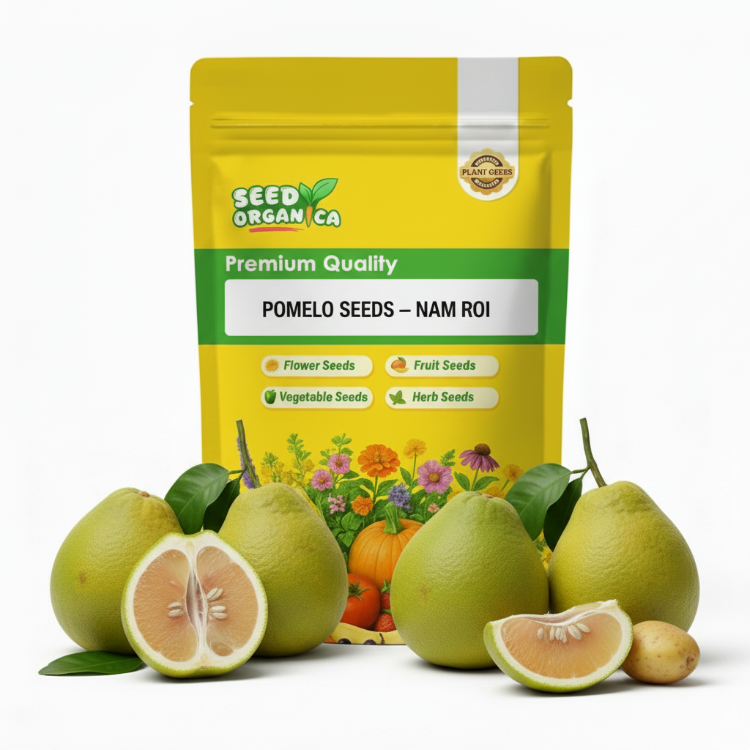 Pomelo Seeds – Nam Roi