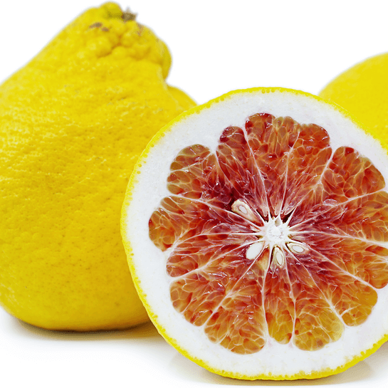 Pomelo Seeds – Valentine