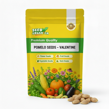 Pomelo Seeds – Valentine