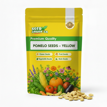 Pomelo Seeds – Yellow