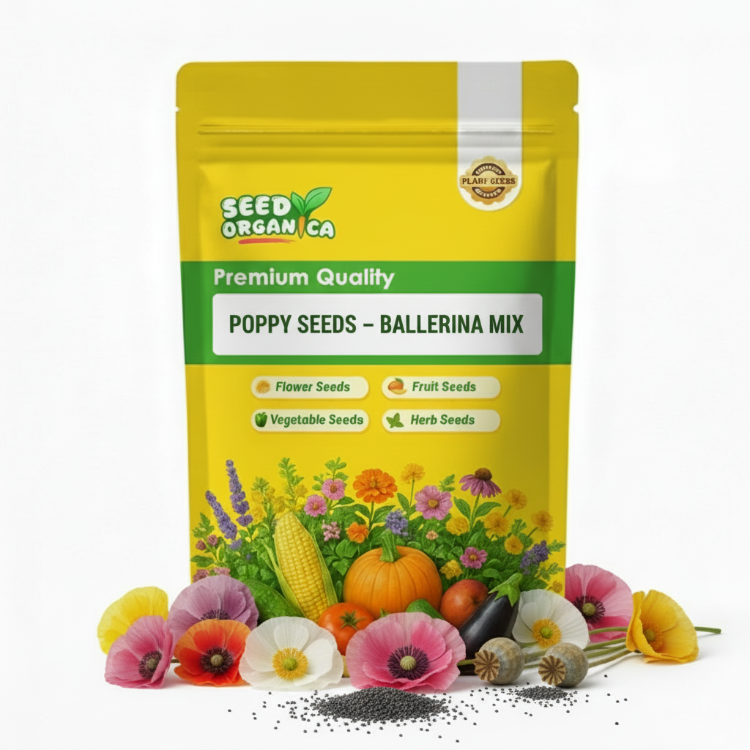 Poppy Seeds – Ballerina Mix