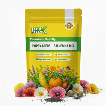 Poppy Seeds – Ballerina Mix
