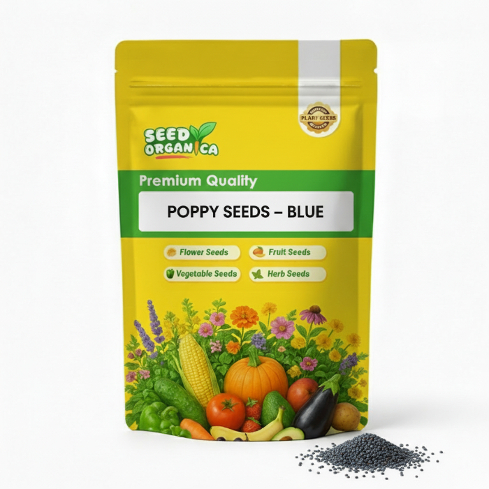 Poppy Seeds – Blue