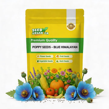 Poppy Seeds – Blue Himalayan