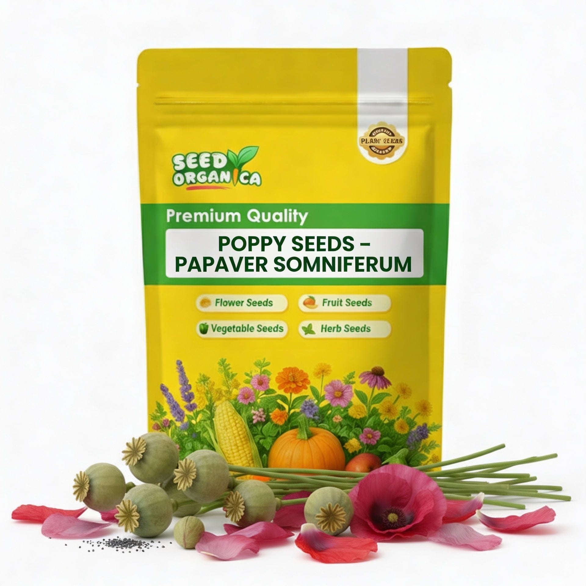 Poppy Seeds – Papaver somniferum