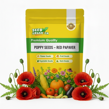 Poppy Seeds – Red Papaver
