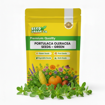 Portulaca Oleracea Seeds – Green