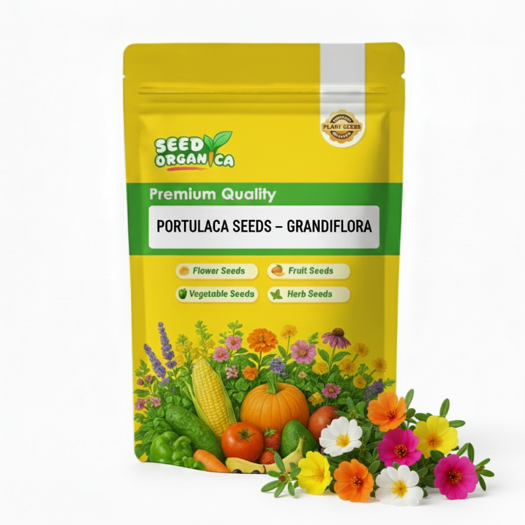 Portulaca Seeds – Grandiflora