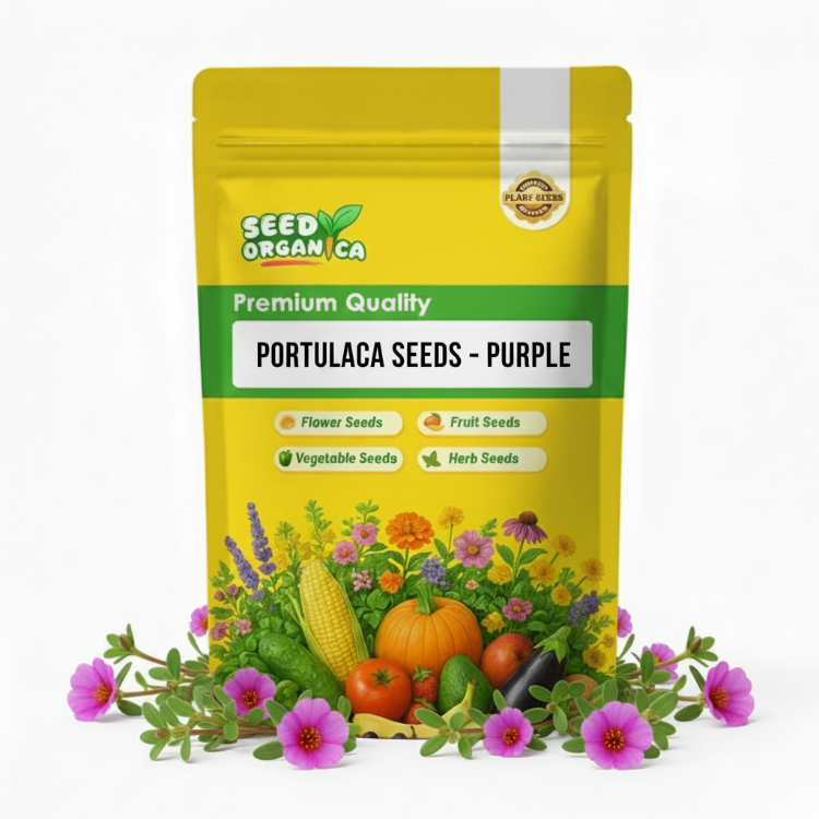 Portulaca Seeds – Purple