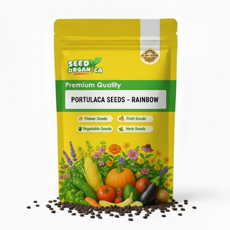 Portulaca Seeds – Rainbow