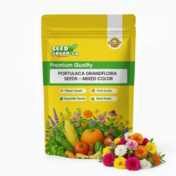 Portulaca grandiflora Seeds – Mixed Color